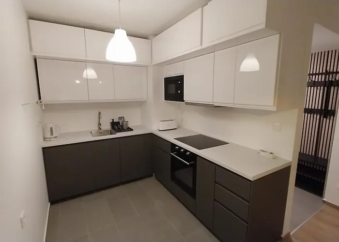 公寓 Harmony Terrace With Free Garage 布达佩斯