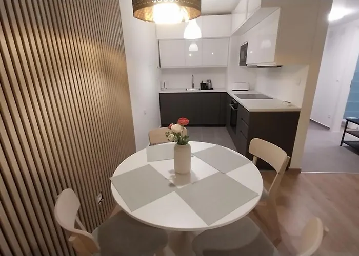 Harmony Terrace With Free Garage 公寓 布达佩斯